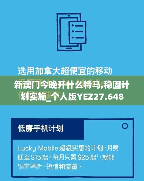 新澳门今晚开什么特马,稳固计划实施_个人版YEZ27.648