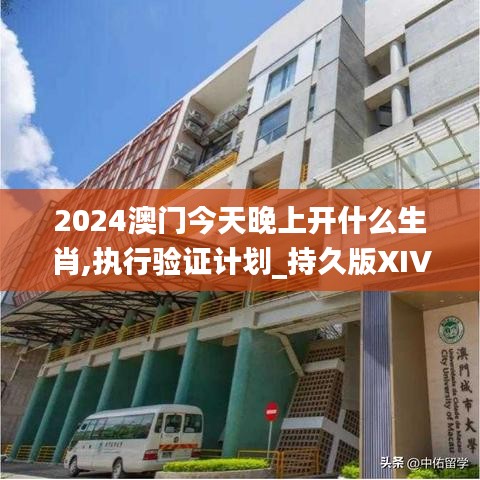 2024澳门今天晚上开什么生肖,执行验证计划_持久版XIV50.476