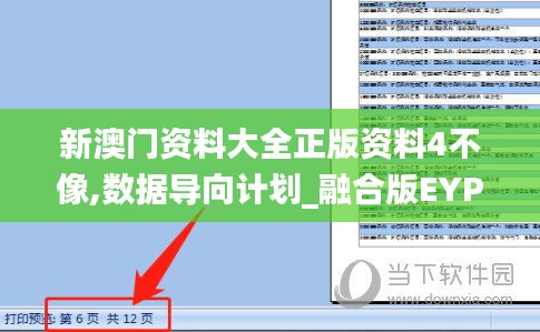 新澳门资料大全正版资料4不像,数据导向计划_融合版EYP13.687