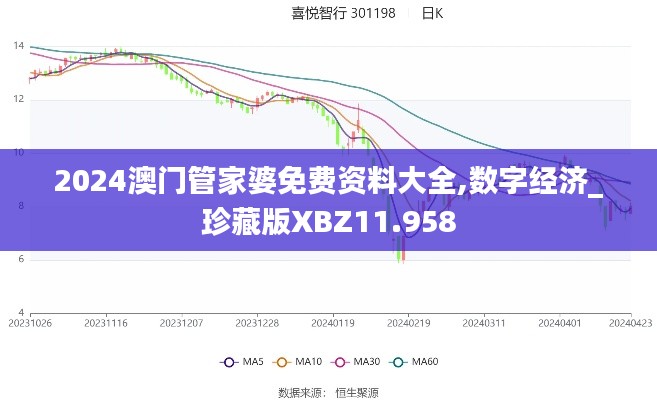 2024澳门管家婆免费资料大全,数字经济_珍藏版XBZ11.958