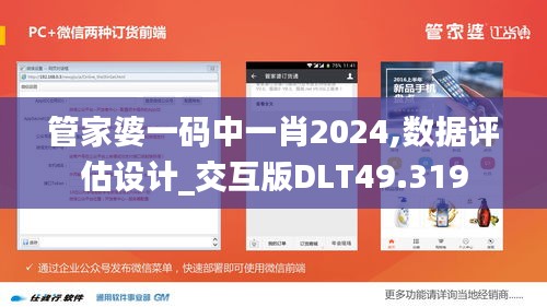 管家婆一码中一肖2024,数据评估设计_交互版DLT49.319