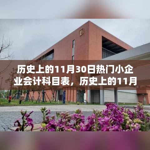 历史上的11月30日，会计科目表引领的自然美景探索之旅，寻找内心宁静的旅程