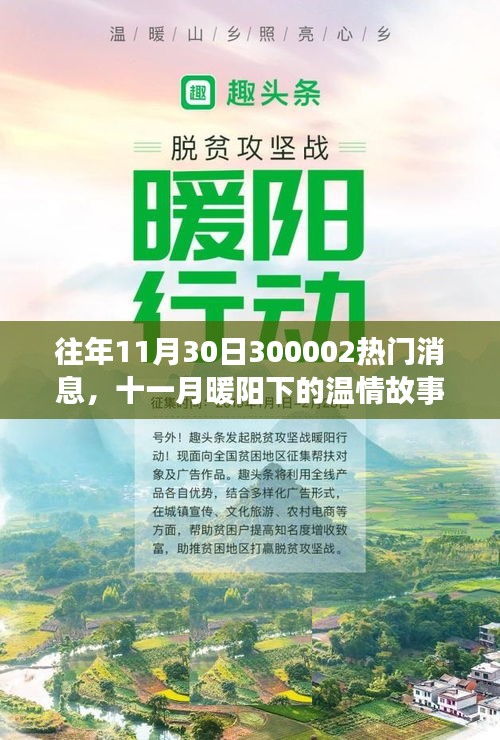 十一月暖阳下的温情故事，揭秘300002热门消息的温馨日常揭秘