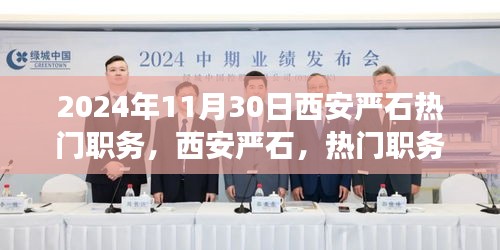 揭秘西安严石热门职务背后的故事与影响，2024年回顾