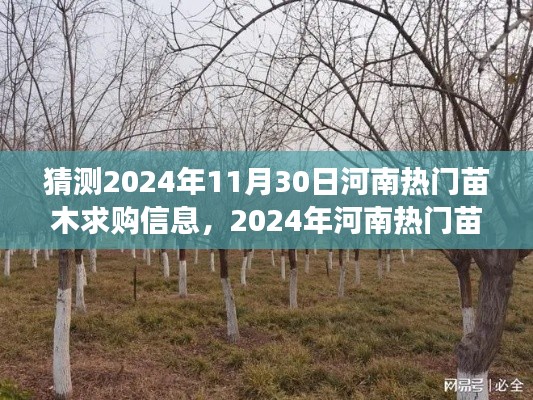 2024年河南热门苗木求购信息预测，多方视角解读与观点碰撞，未来趋势展望