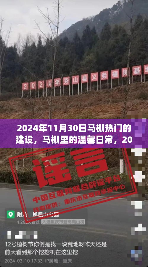 马棚温馨日常与热闹建设之旅，2024年11月30日的记录