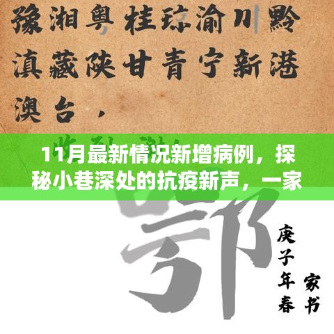 探秘小巷深处的抗疫新声，特色小店病例新篇章揭秘（最新11月新增病例）