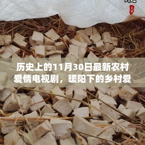 暖阳下的乡村爱情，十一月三十日的甜蜜日常