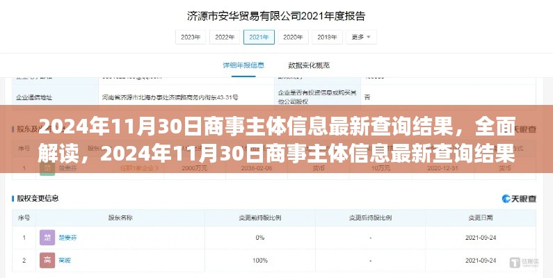 2024年11月30日商事主体信息最新查询结果深度解读与评测报告