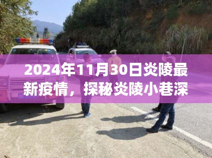 炎陵小巷深处的防疫故事与美食秘境，2024年最新疫情探秘