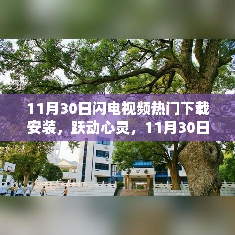 11月30日闪电视频，领略学习变革的魔力之旅