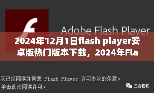 2024年Flash Player安卓版热门版本下载回顾与影响