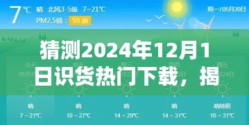 揭秘未来趋势，预测2024年12月1日识货热门下载风潮的揭秘与猜测