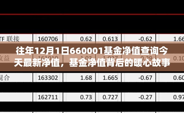 友情与陪伴的温馨旅程，揭秘最新基金净值背后的暖心故事——关于基金净值查询的最新动态（今日更新）