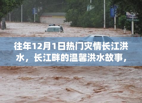 长江畔的温馨洪水故事，友情、家庭与陪伴的十二月回忆