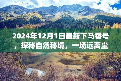 探秘自然秘境，启程于2024年心灵之旅的冒险号角