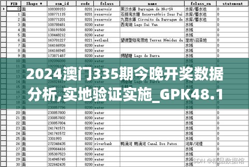 2024澳门335期今晚开奖数据分析,实地验证实施_GPK48.117私人版