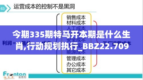 今期335期特马开本期是什么生肖,行动规划执行_BBZ22.709儿童版