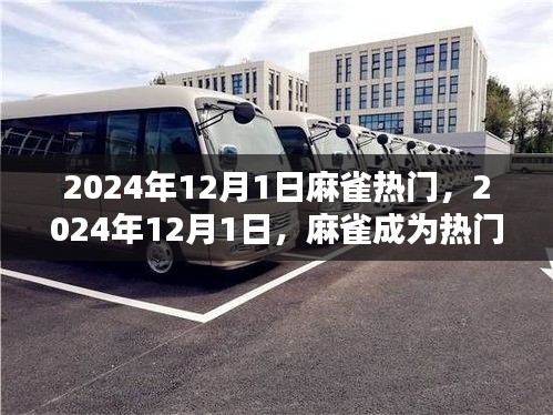 揭秘麻雀魅力背后的原因，为何它在2024年12月1日成为热门焦点？