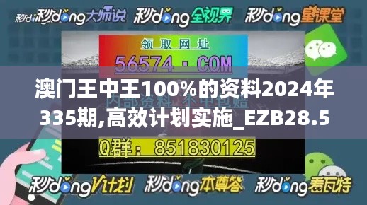 澳门王中王100%的资料2024年335期,高效计划实施_EZB28.582动感版