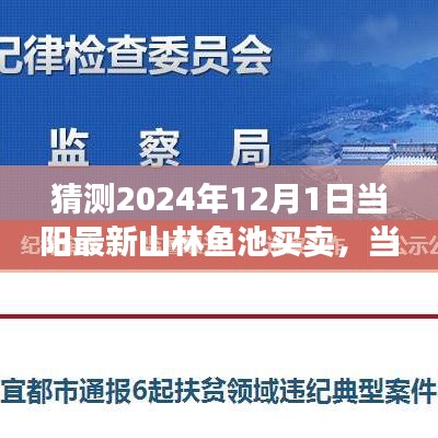 2024年当阳山林鱼池买卖展望，市场深度解析与产品特性详述