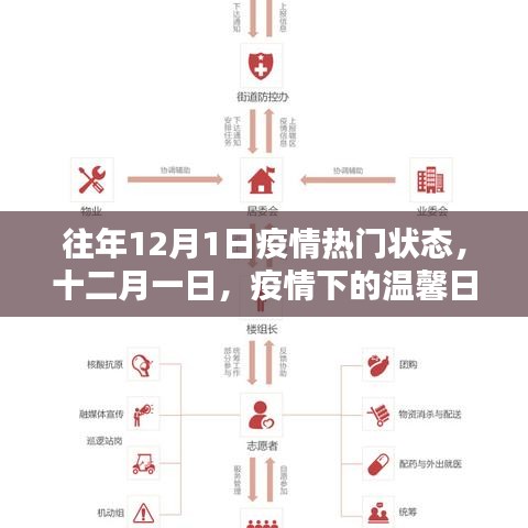 疫情下的温馨日常与友情纽带，十二月一日的抗疫记忆