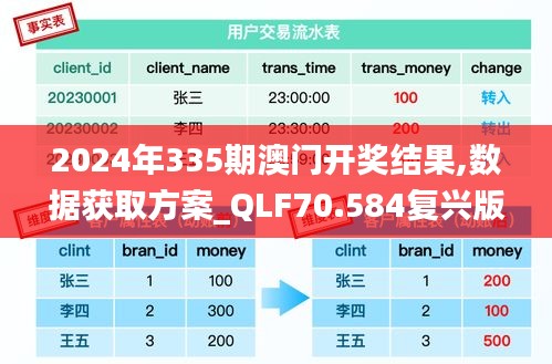 2024年335期澳门开奖结果,数据获取方案_QLF70.584复兴版