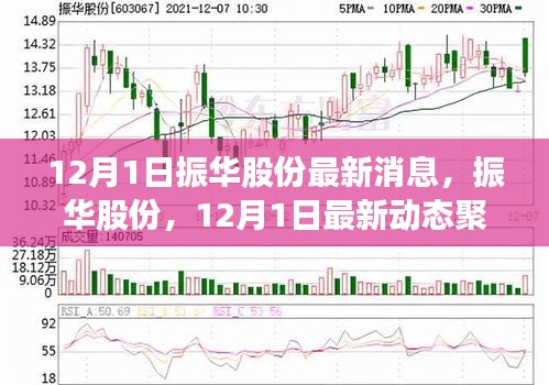 2024年12月1日 第11页