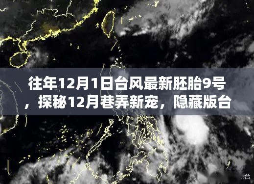 探秘隐藏版台风胚胎9号特色小店，揭秘往年台风最新胚胎与巷弄新宠的惊喜之旅