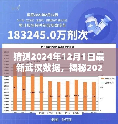 揭秘武汉未来，深度分析与预测，预测武汉最新数据至2024年12月1日揭晓！