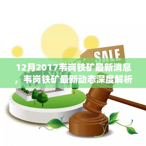 韦岗铁矿最新动态深度解析，产品特性、用户体验与目标用户分析报告发布（深度报道）