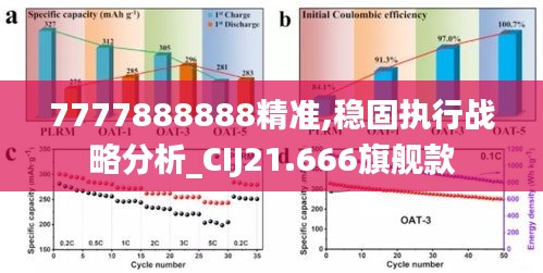 7777888888精准,稳固执行战略分析_CIJ21.666旗舰款