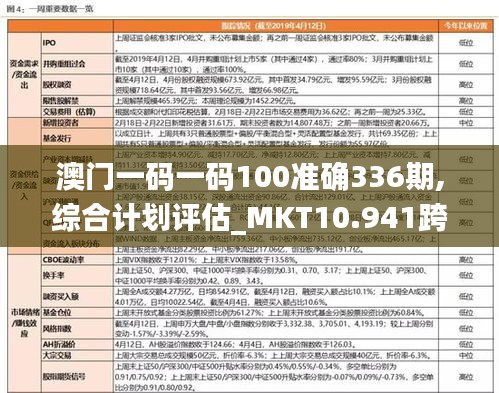 澳门一码一码100准确336期,综合计划评估_MKT10.941跨平台版