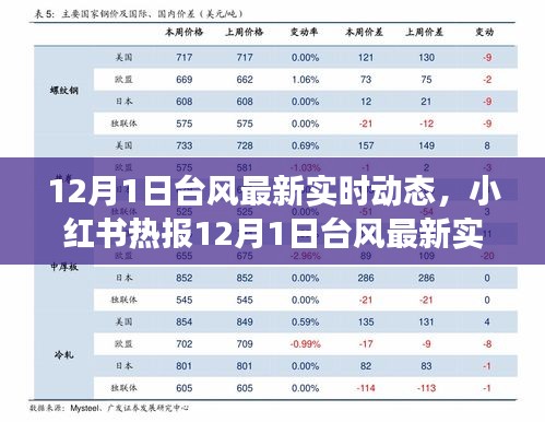 台风最新实时动态，小红书热报与全方位解读应对指南