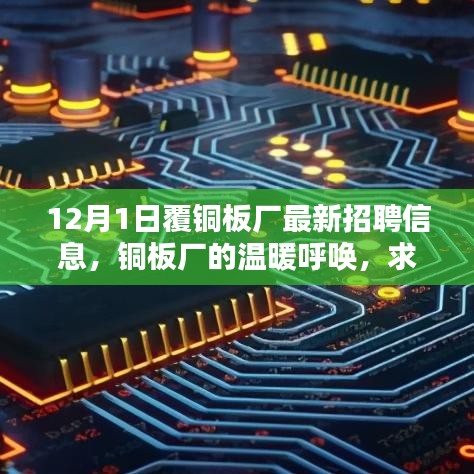 铜板厂的温暖呼唤，最新招聘信息与求职路上的友情绽放