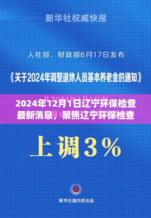 聚焦辽宁环保检查最新动态与解读（2024年12月版）