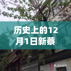 探秘新蔡檀香园，巷弄深处的独特风情，揭秘十二月最新动态