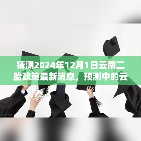 解读未来趋势，预测云南二胎政策新动向及最新消息（预计于2024年12月1日实施）