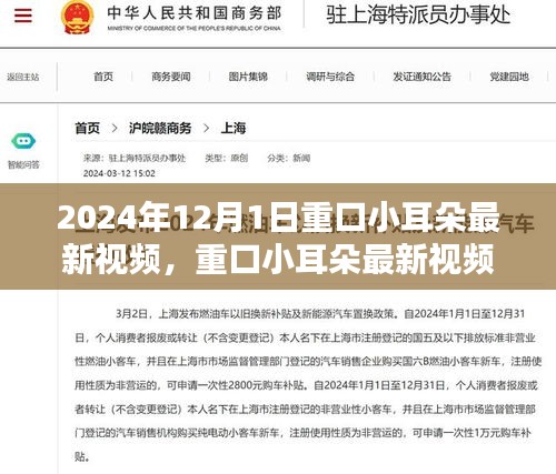 重口小耳朵最新视频探讨，内容与受众接受度的微妙平衡揭秘（2024年）