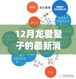 揭秘十二月龙爱量子最新动态，进展、领域地位与背景解析