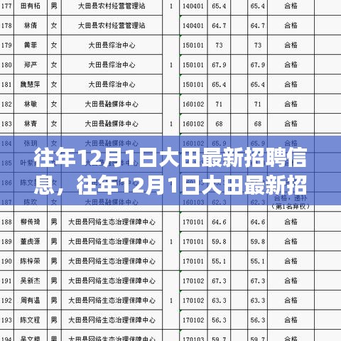 往年12月1日大田最新招聘信息解读与汇总