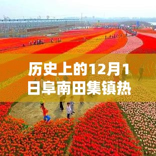 历史上的12月1日阜南田集镇热门规划深度解析与评测