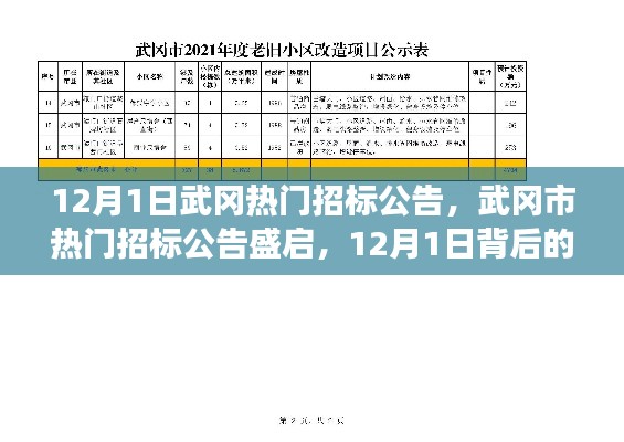 揭秘武冈市热门招标公告背后的故事与影响，12月1日盛启