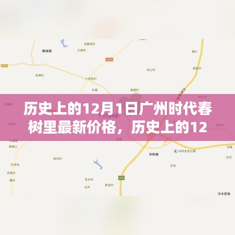 揭秘广州时代春树里房价动态，历史上的12月1日最新价格解析