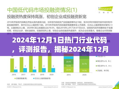 揭秘，2024年热门行业代码产品特性与用户体验评测报告出炉！