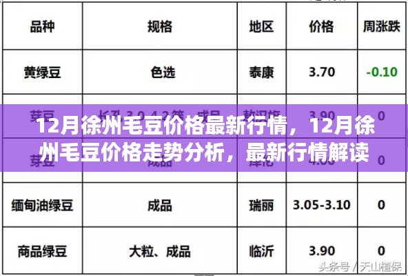 徐州毛豆行情解析，最新价格走势与解读