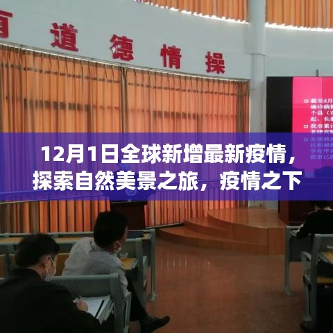 十二月全球疫情下的自然探索之旅，寻找内心的宁静与平和新视角