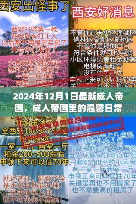 成人帝国里的温馨日常，阳光故事2024年12月1日