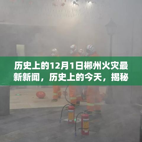 揭秘郴州火灾背后的故事，历史上的今天回顾与最新新闻报道