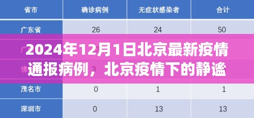 北京疫情通报病例下的静谧之旅，自然美景的心灵之旅